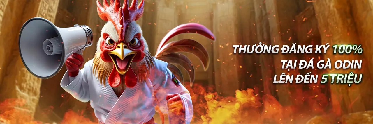 Ưu đãi hoàn trả cược cao FI88